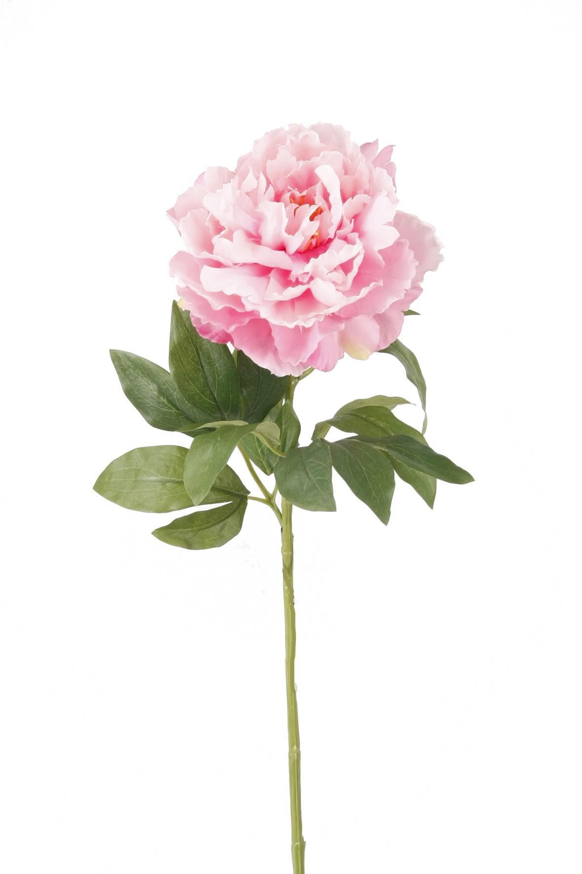 Kunstblumen Solo - Light Pink - Peonies - x 5 - 65cm