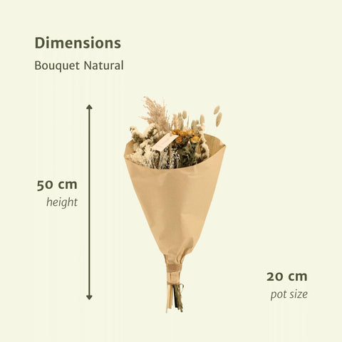 Trockenblumen Feldstrauß Natural - Ø20 - ↨50cm