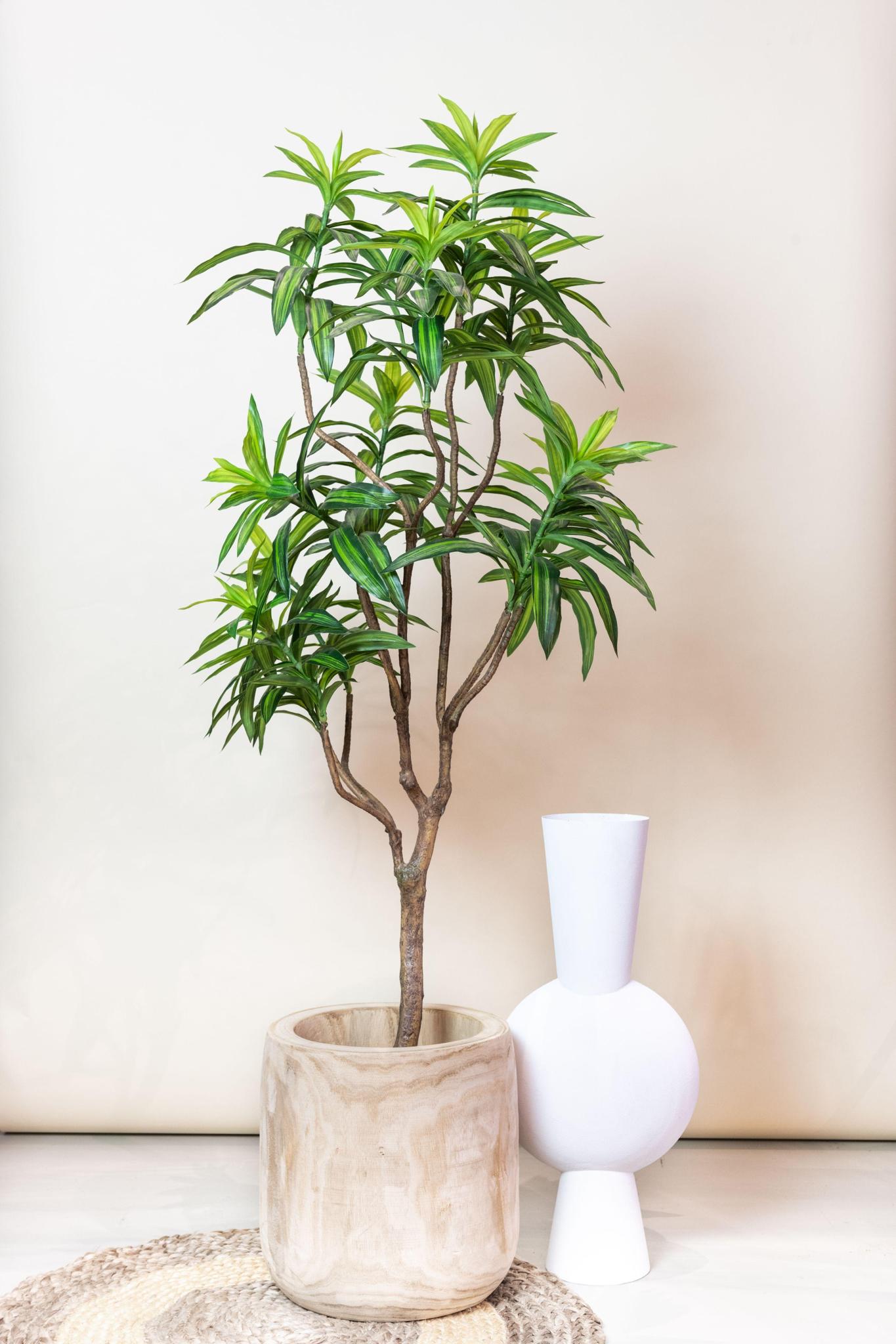 Kunstpflanze - Dracaena - Drachenbaum - 155 cm