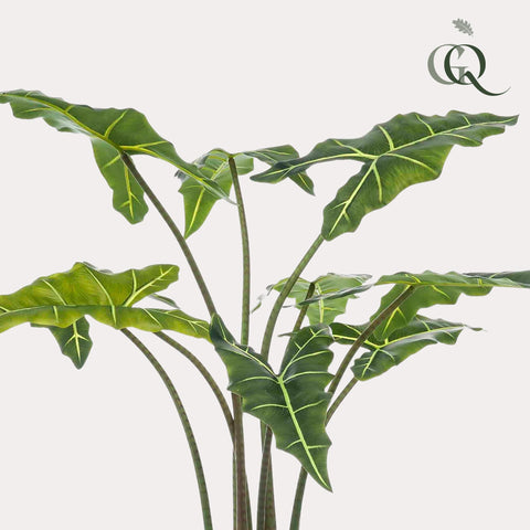 Kunstpflanze - Alocasia Frydek - 100 cm