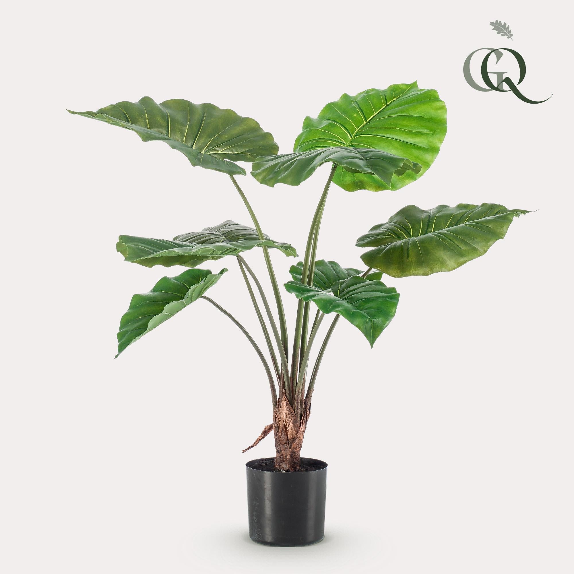 Kunstpflanze - Alocasia - 70 cm