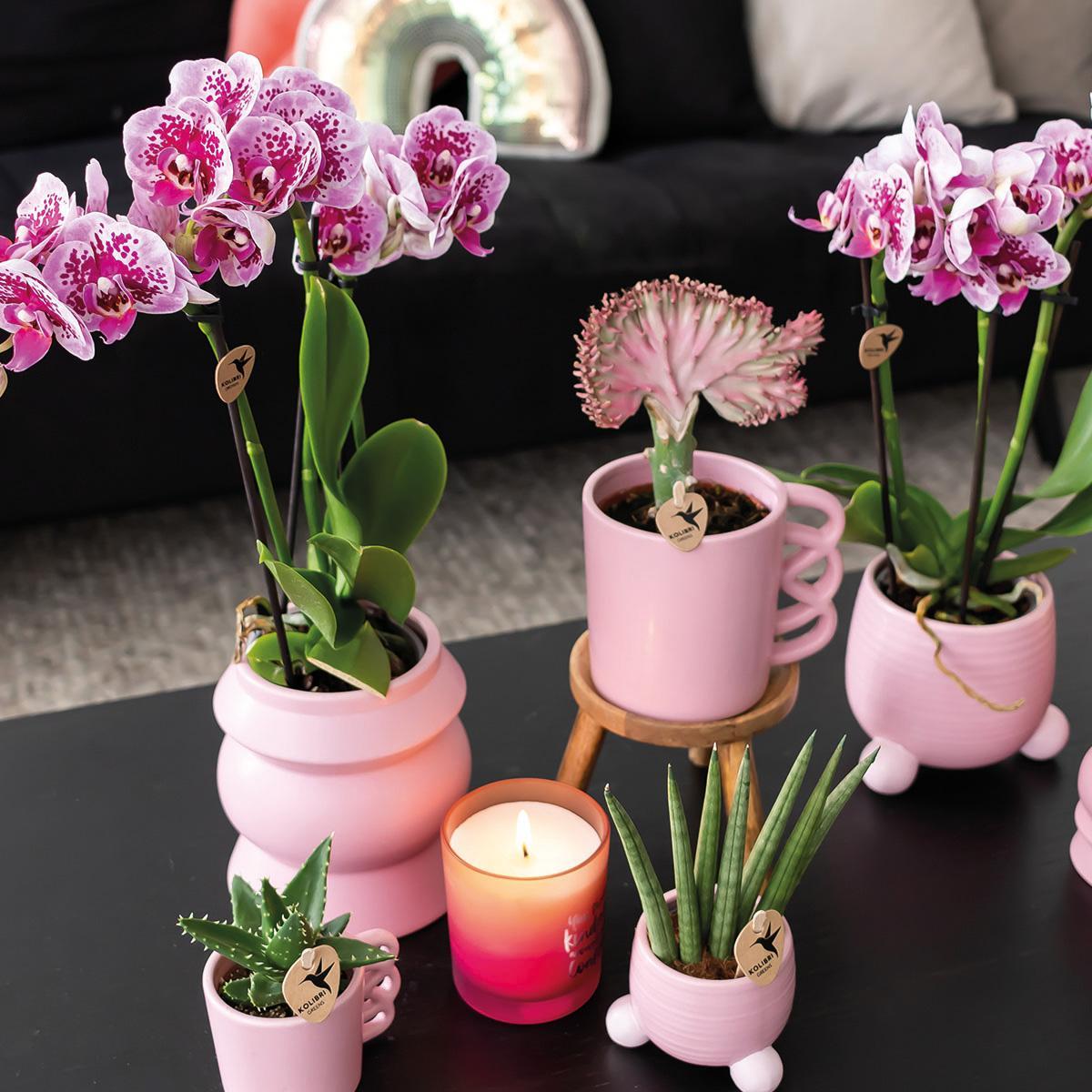 Kolibri Home | Happy Mug Blumentopf - Rosa Keramik Ziertopf - Ø6cm