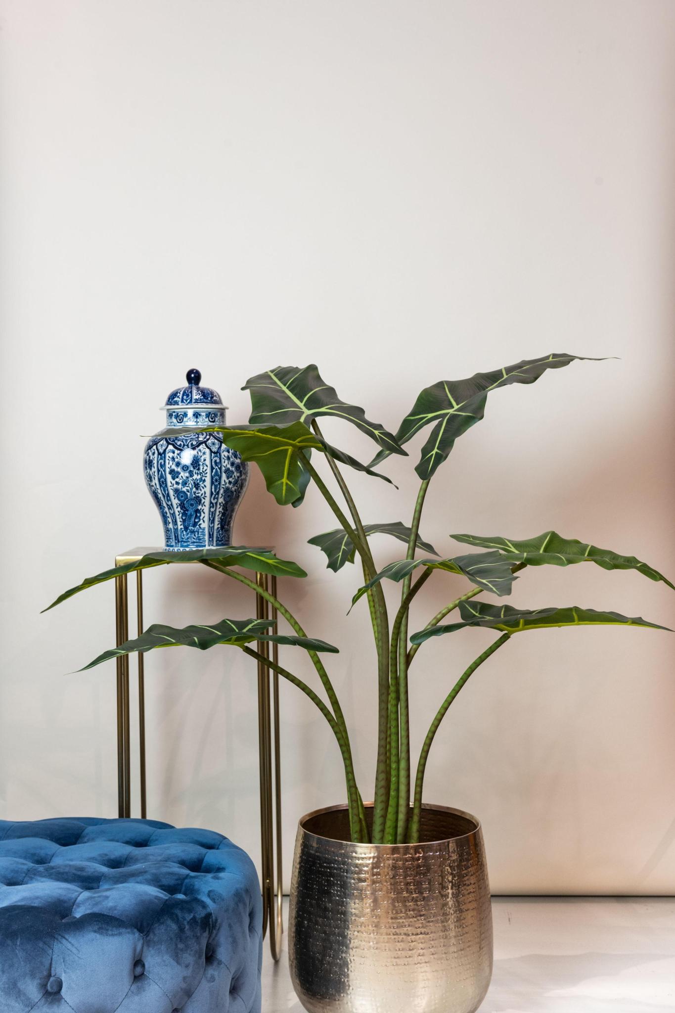 Kunstpflanze - Alocasia Frydek - 100 cm