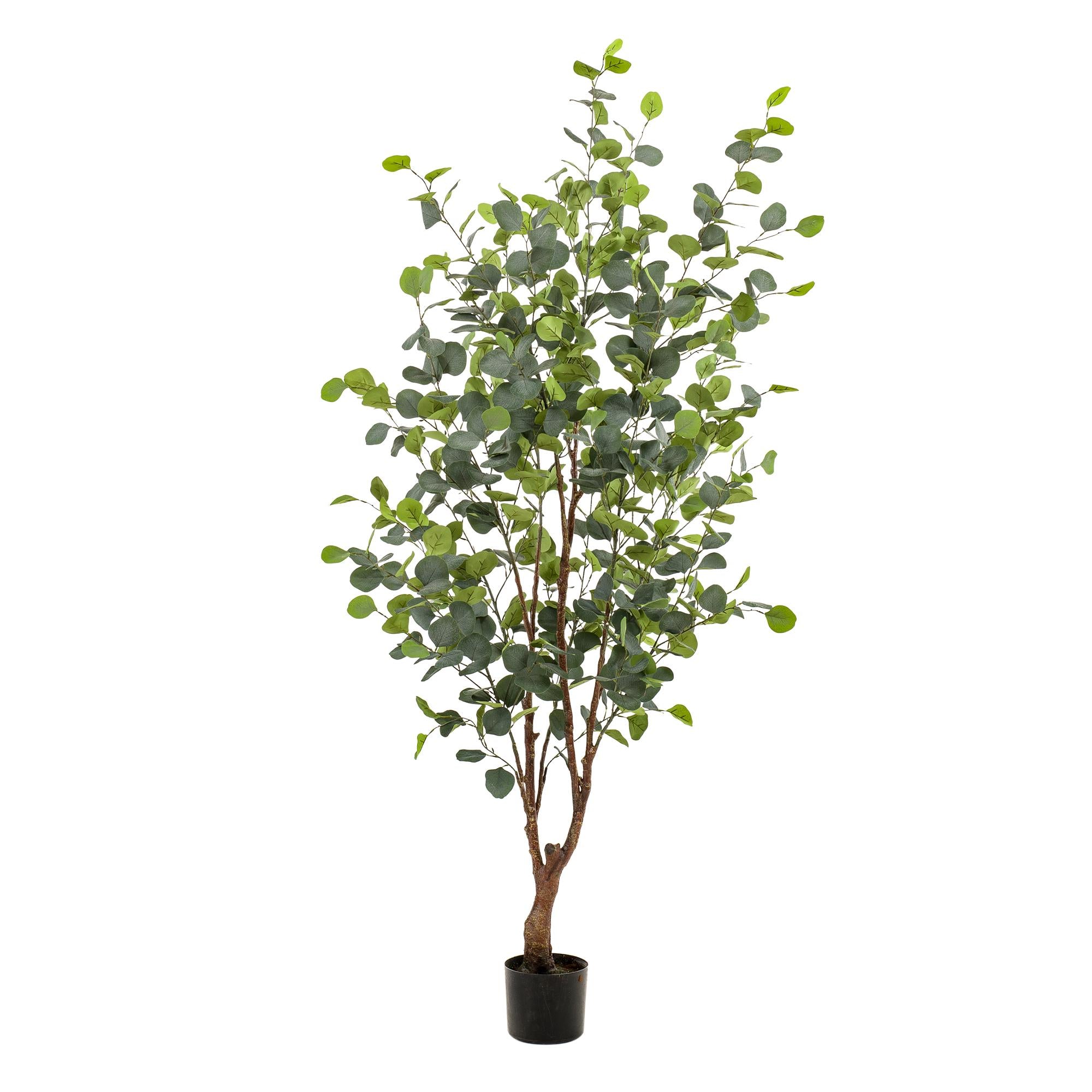 Kunstpflanze - Eucalyptusbaum - Blauer Gummibaum - 140cm - 140