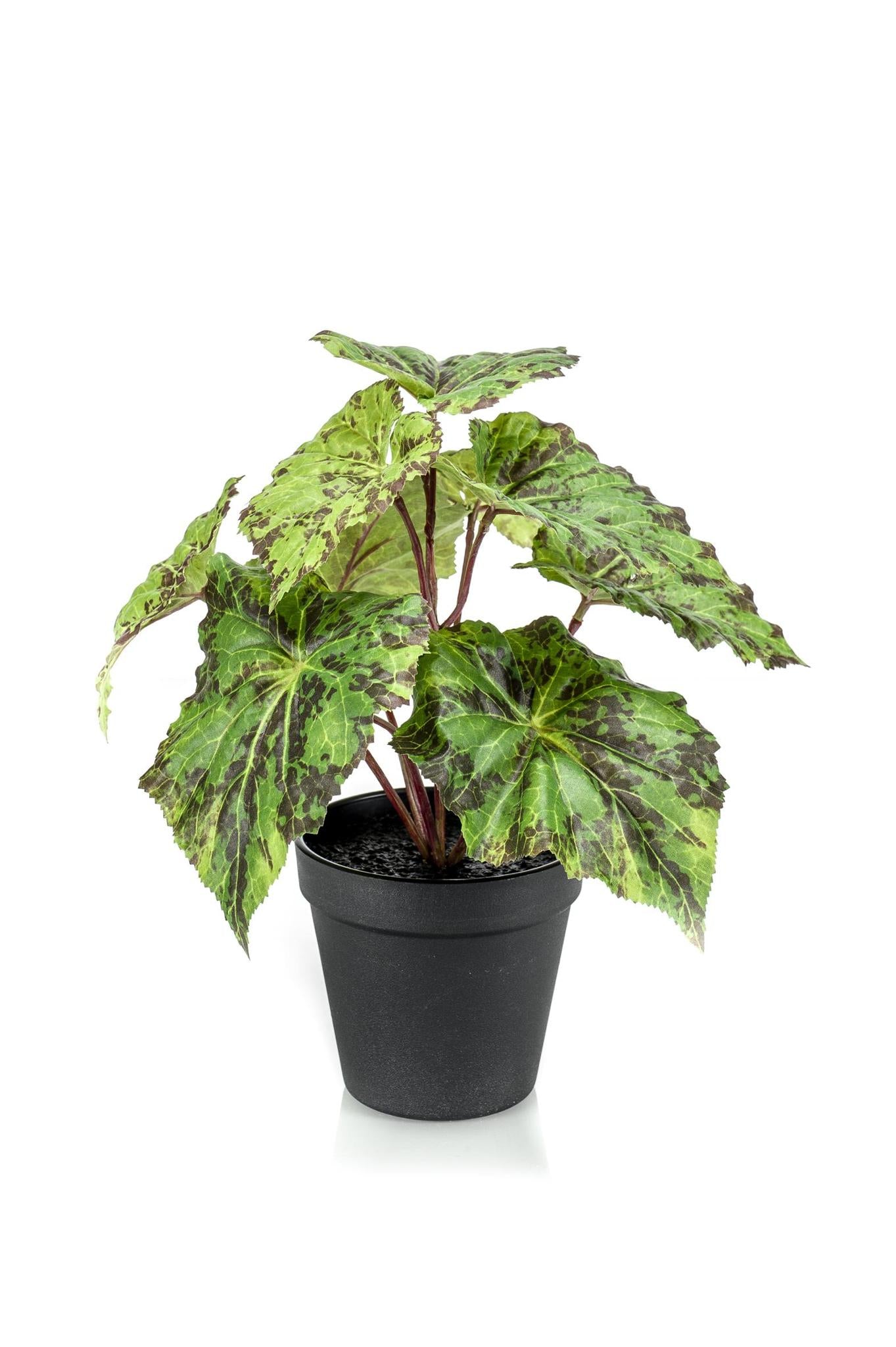 Kunstpflanze - Begonia Rex - Königsbegonie - 25 cm