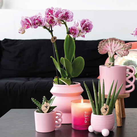 Kolibri Home | Happy Mug Blumentopf - Rosa Keramik Ziertopf - Ø6cm