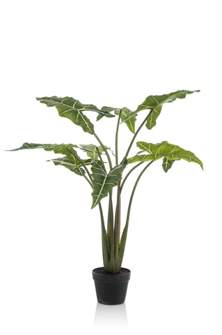 Kunstpflanze - Alocasia Frydek - 100 cm