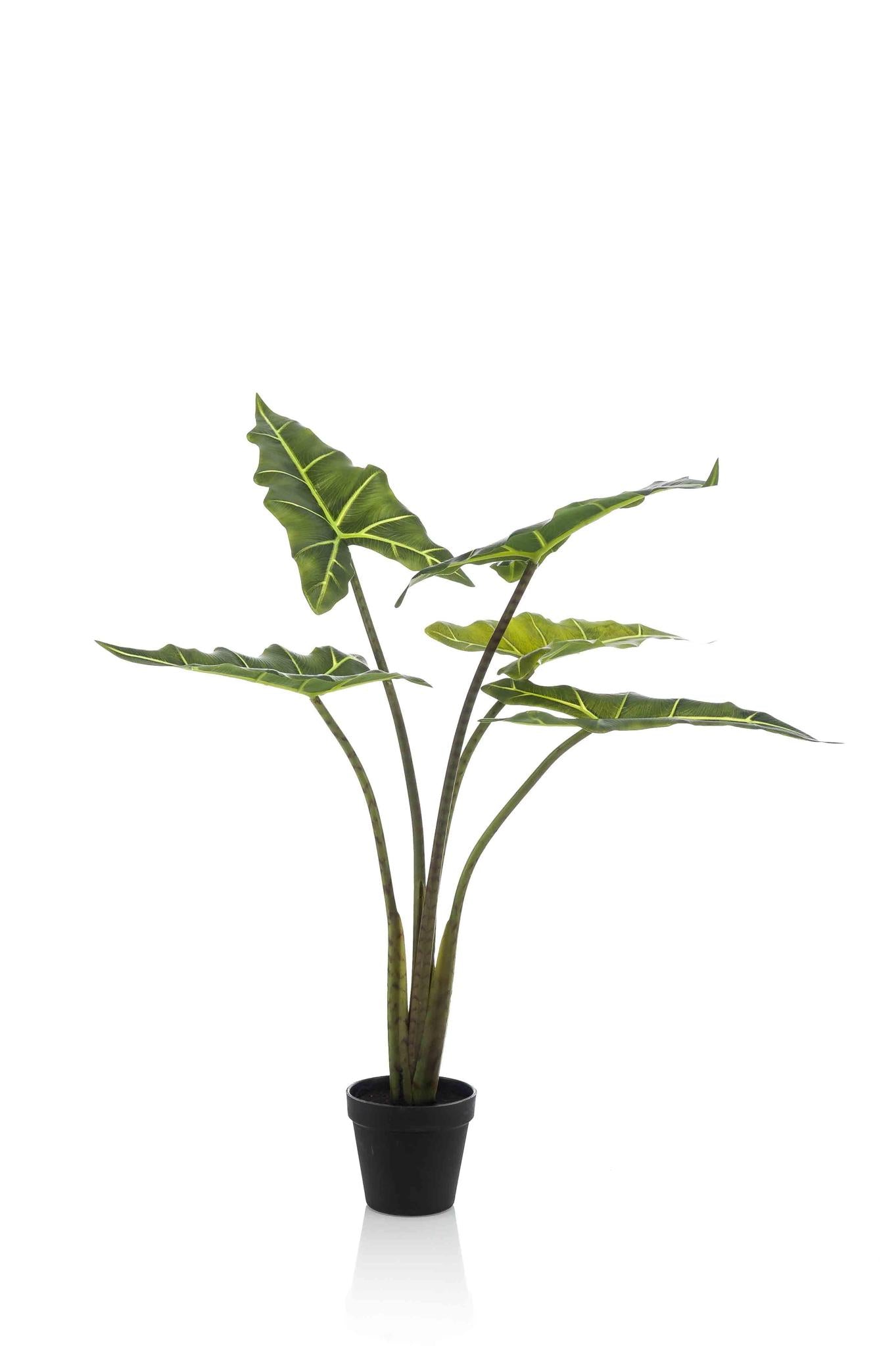 Kunstpflanze - Alocasia Frydek - 80 cm