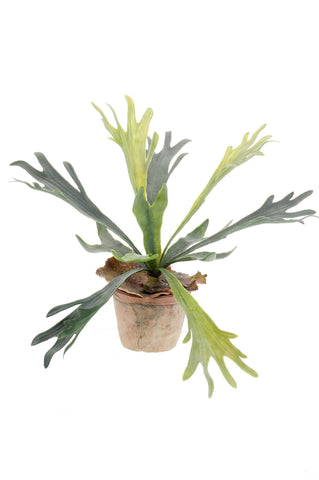 Kunstpflanze - Staghorn Farn - Geweihfarn - 33 cm