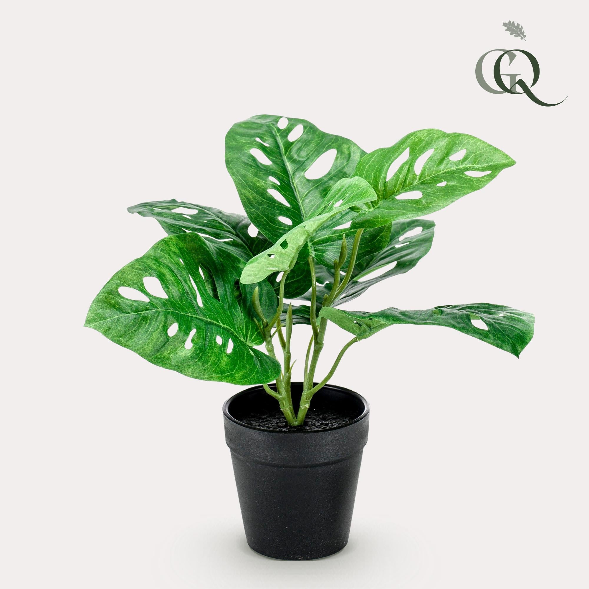 Kunstpflanze - Monstera Monkey -  29 cm