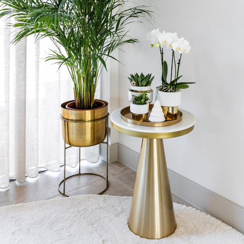 Komplettes Pflanzenset Luxury gold | Grünes Pflanzenset mit weißer Phalaenopsis-Orchidee und Sukkulenten inkl. goldenen Keramik-Ziertöpfen & Weihnachtsbaum-Accessoire