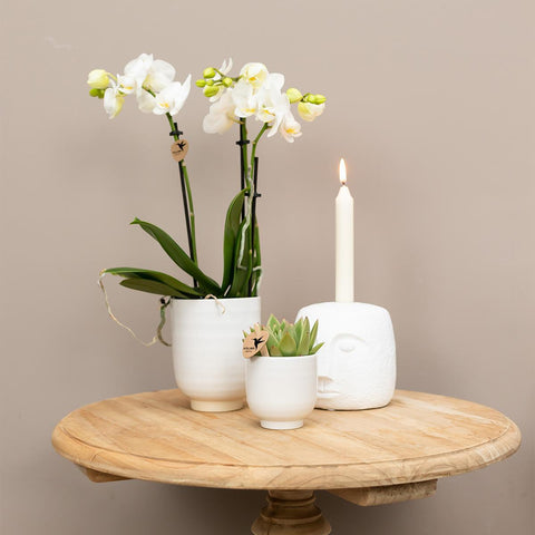 Kolibri Home | Blumentopf glasiert - Weißer Keramik-Ziertopf mit Glanz