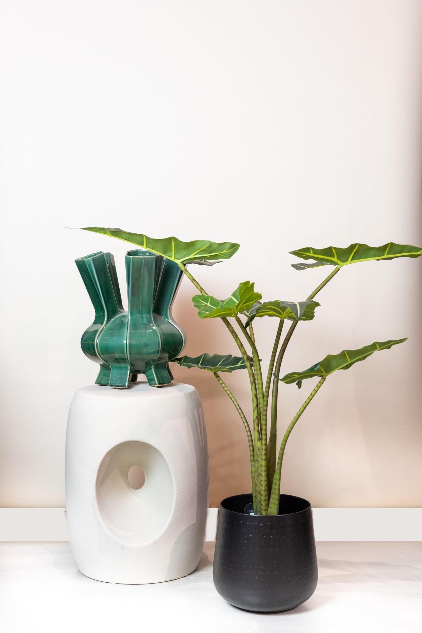 Kunstpflanze - Alocasia Frydek - 80 cm