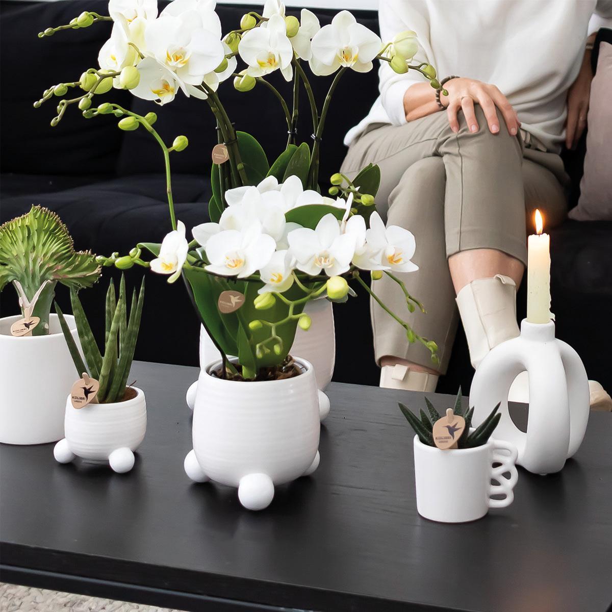 Kolibri Home | Happy Mug Blumentopf - Weißer Keramik-Ziertopf - Ø9cm