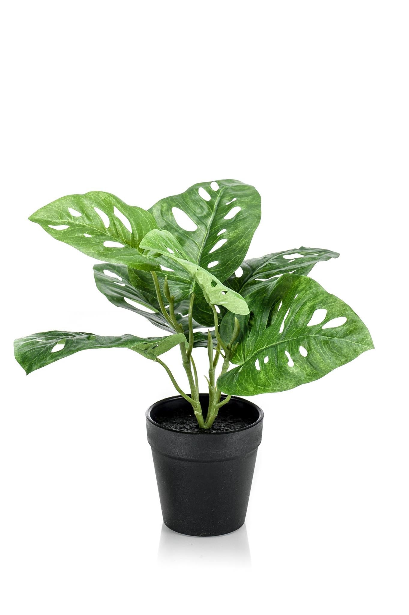 Kunstpflanze - Monstera Monkey -  29 cm