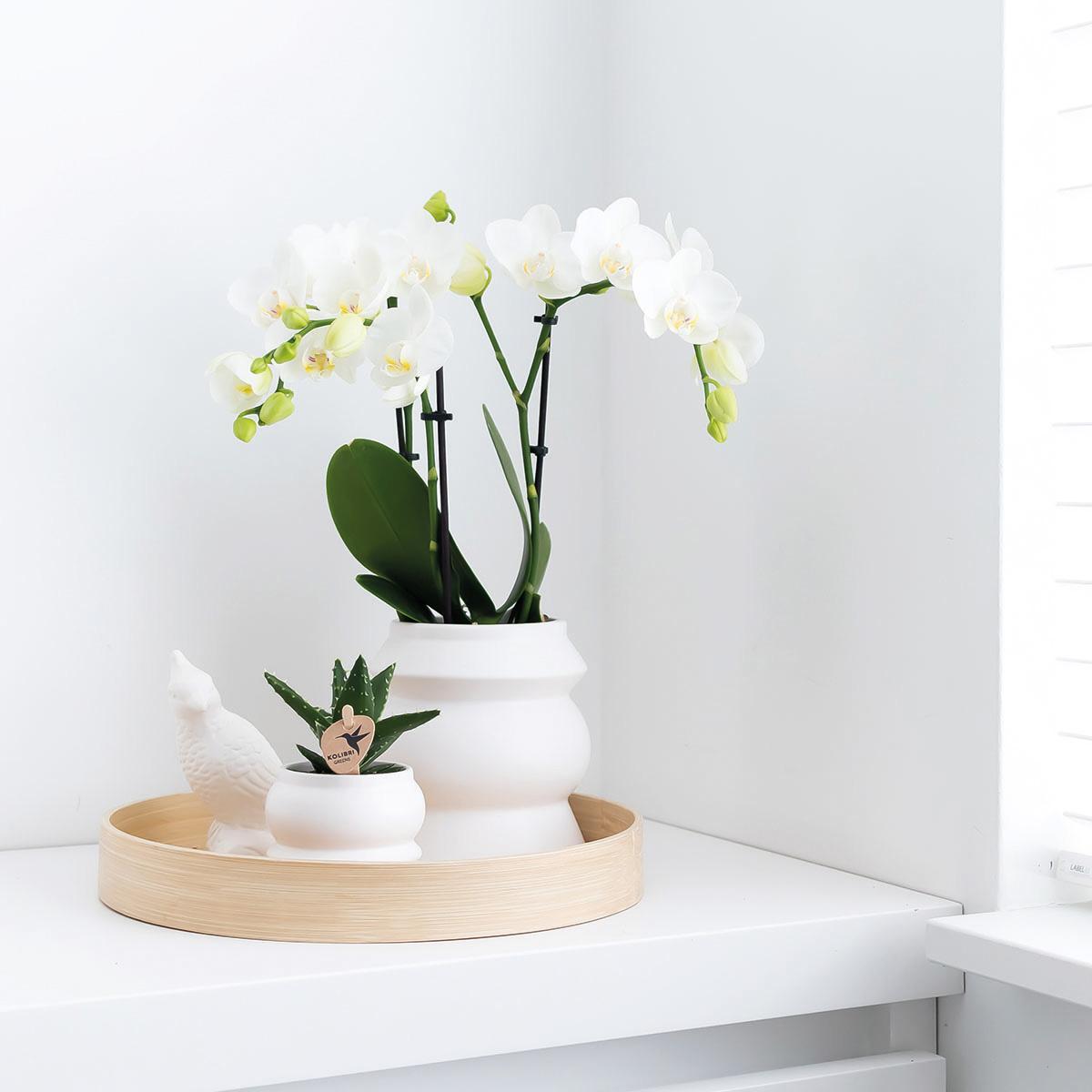 Kolibri Home | Tower weißer Blumentopf - weißer Keramik-Ziertopf - Ø9cm