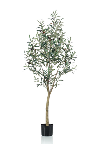 Kunstpflanze - Olea europaea - Olivenbaum - 140 cm