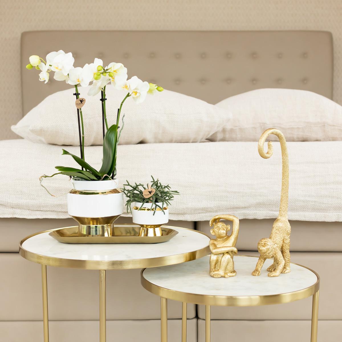 Kolibri Home | Le Chic Blumentopf - Weißer dekorativer Keramiktopf mit goldenen Details - Ø6cm