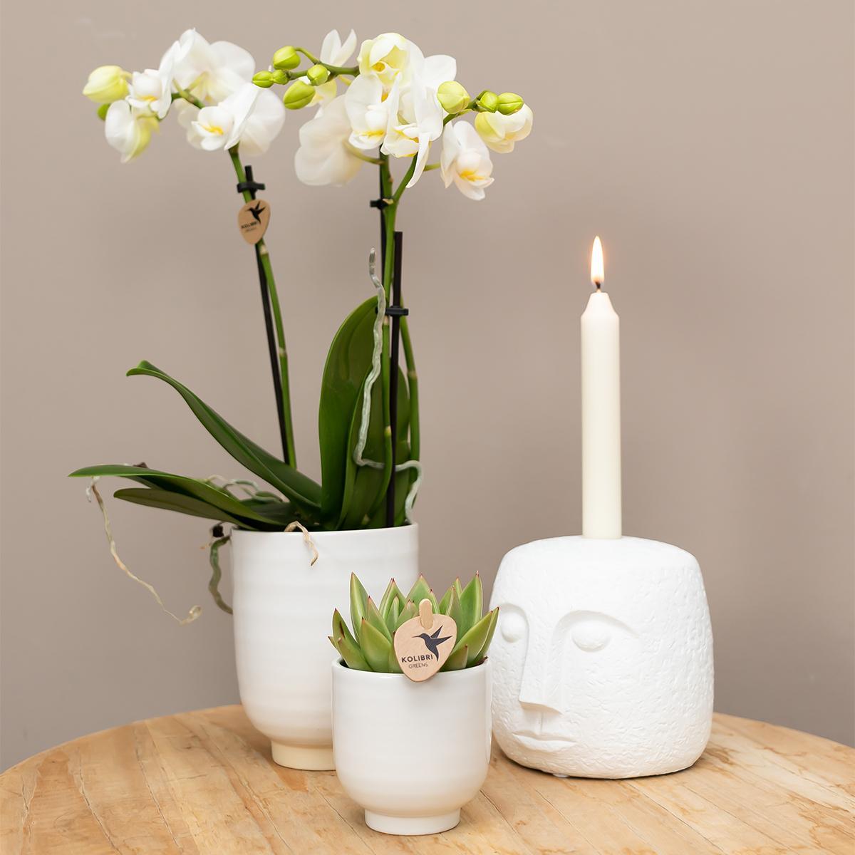 Kolibri Home | Blumentopf glasiert - Weißer Keramik-Ziertopf mit Glanz