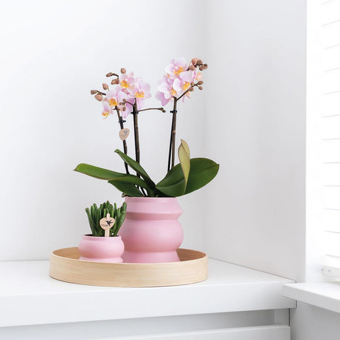 Kolibri Home | Tower rosa Blumentopf - Rosa Keramik Ziertopf - Ø9cm