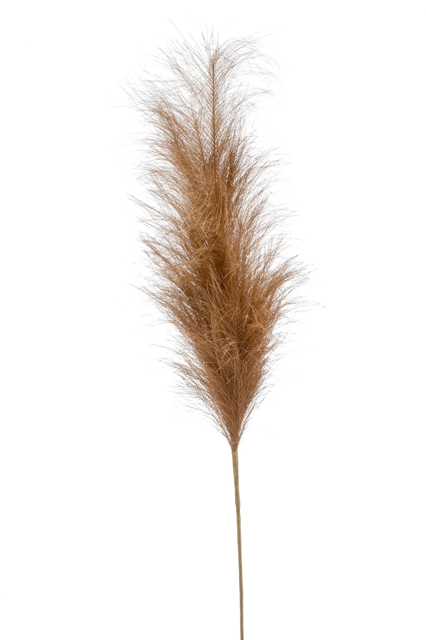 Kunstblumen Solo - x 6 - 115cm - Pampas Plumes - Braun