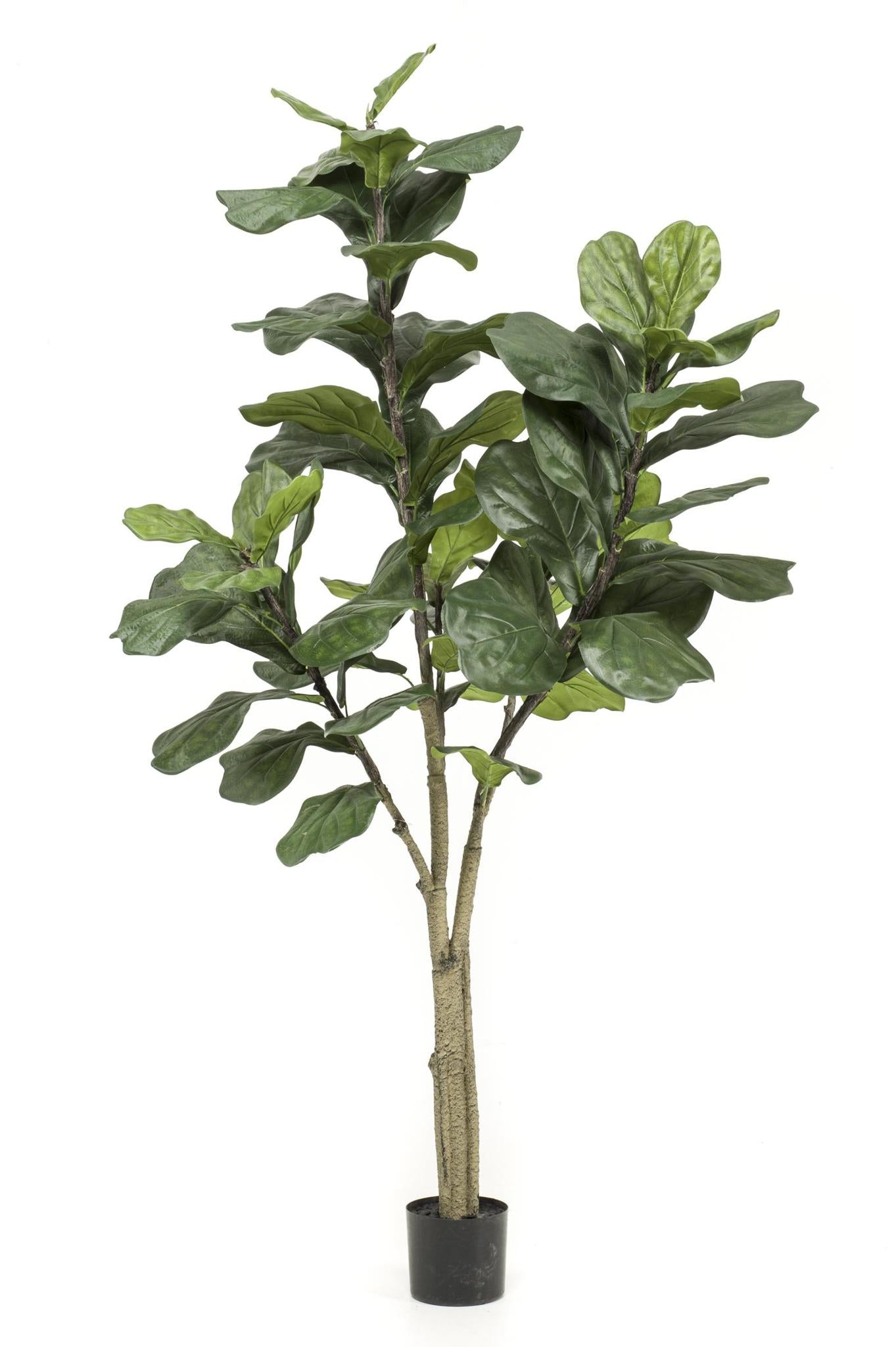 Kunstpflanze - Ficus Lyrata - Tabakspflanze - 180 cm