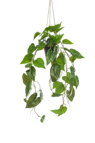 Kunstpflanze - Philodendron Hängepflanze - 80 cm