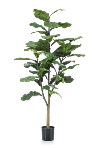 Kunstpflanze - Ficus Lyrata - Tabakspflanze - 125 cm