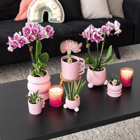 Kolibri Home | Rolling Blumentopf - Rosa Keramik-Ziertopf - Ø9cm