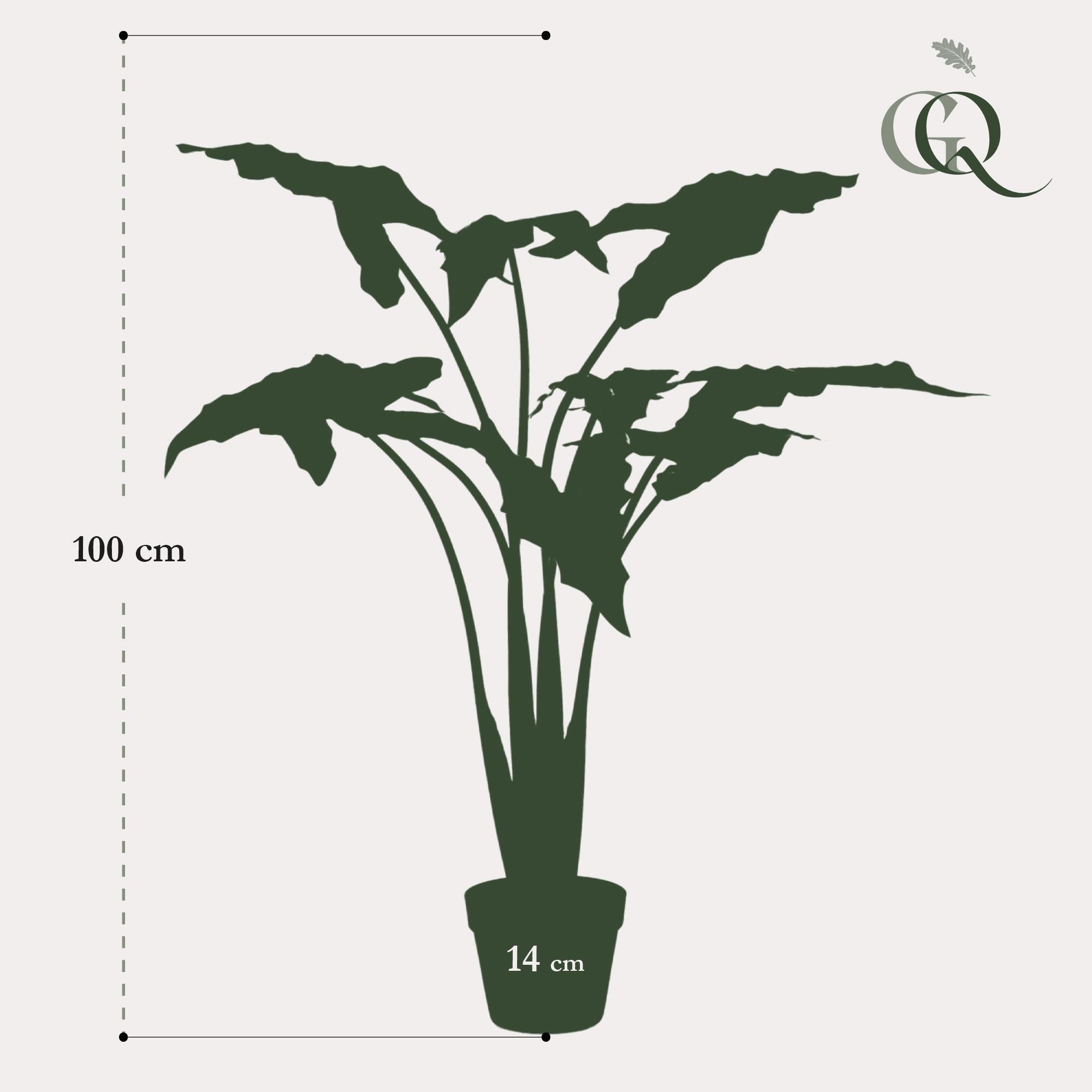 Kunstpflanze - Alocasia Frydek - 100 cm