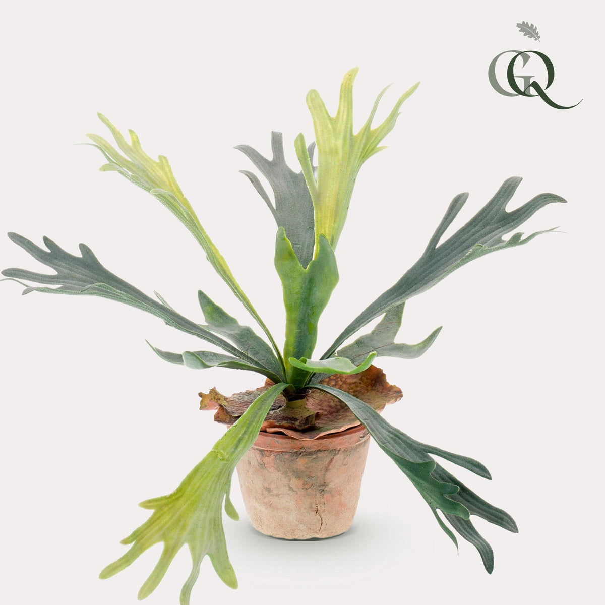 Kunstpflanze - Staghorn Farn - Geweihfarn - 33 cm