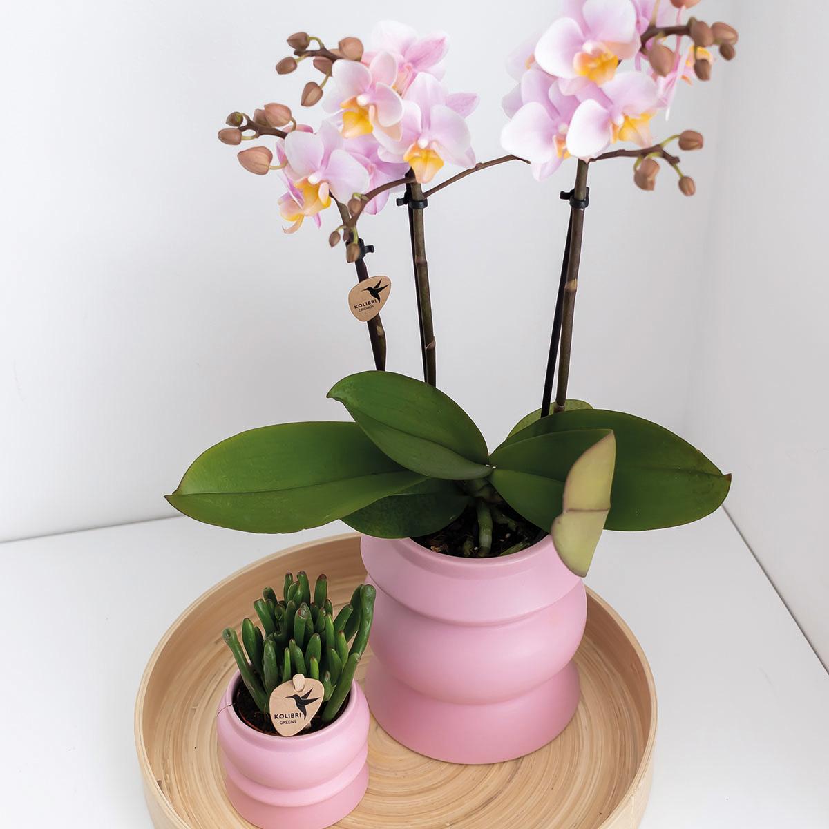 Kolibri Home | Tower rosa Blumentopf - Rosa Keramik Ziertopf - Ø9cm