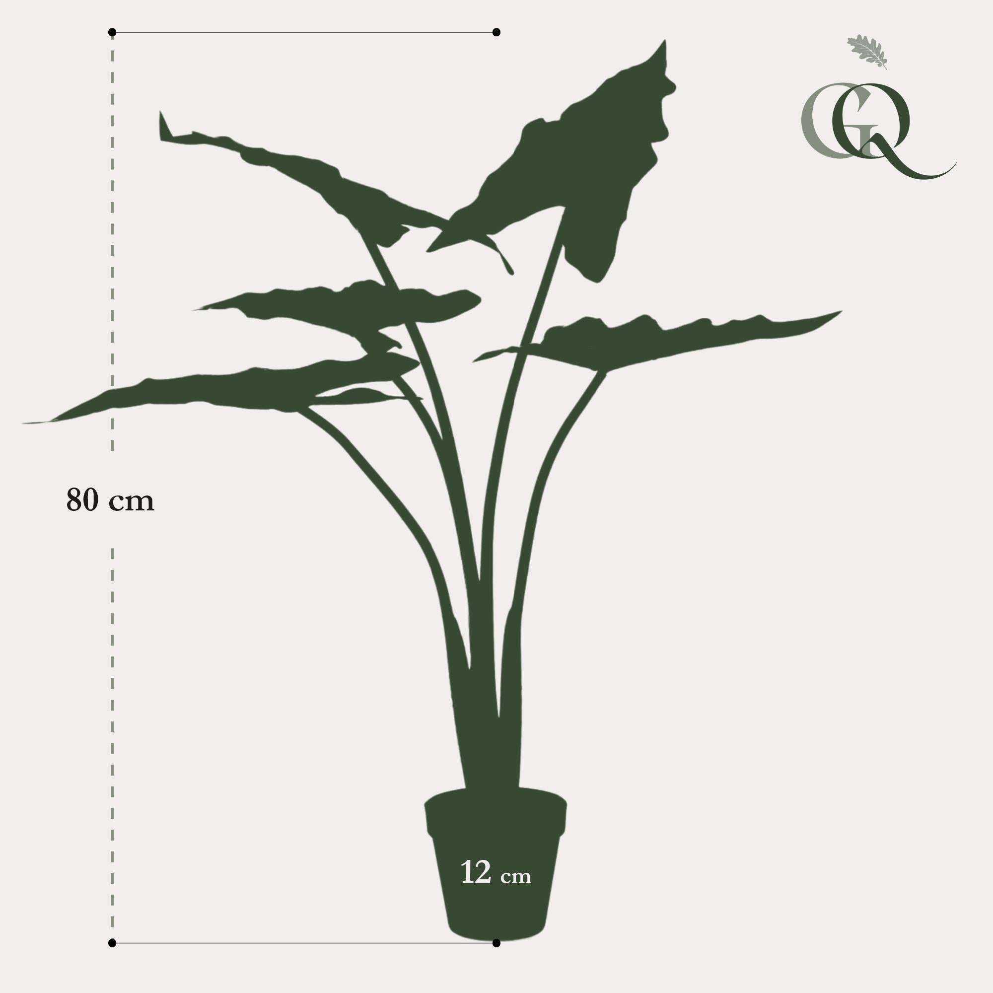 Kunstpflanze - Alocasia Frydek - 80 cm