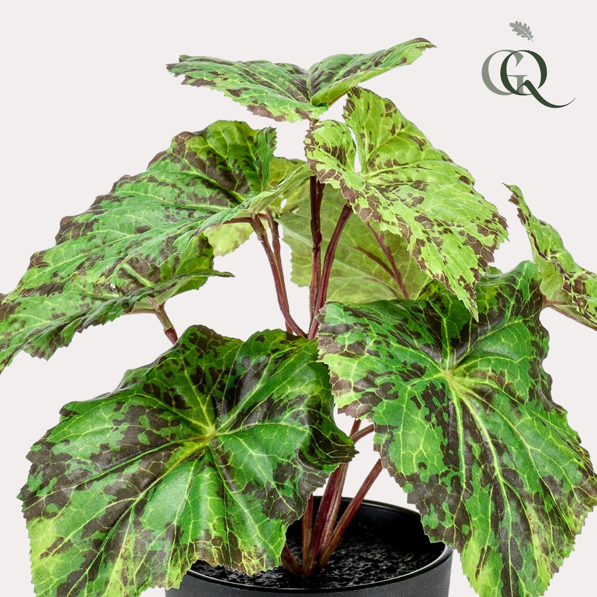 Kunstpflanze - Begonia Rex - Königsbegonie - 25 cm