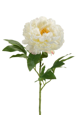 Kunstblumen Solo - Crème - Peonies - x 5 - 65cm