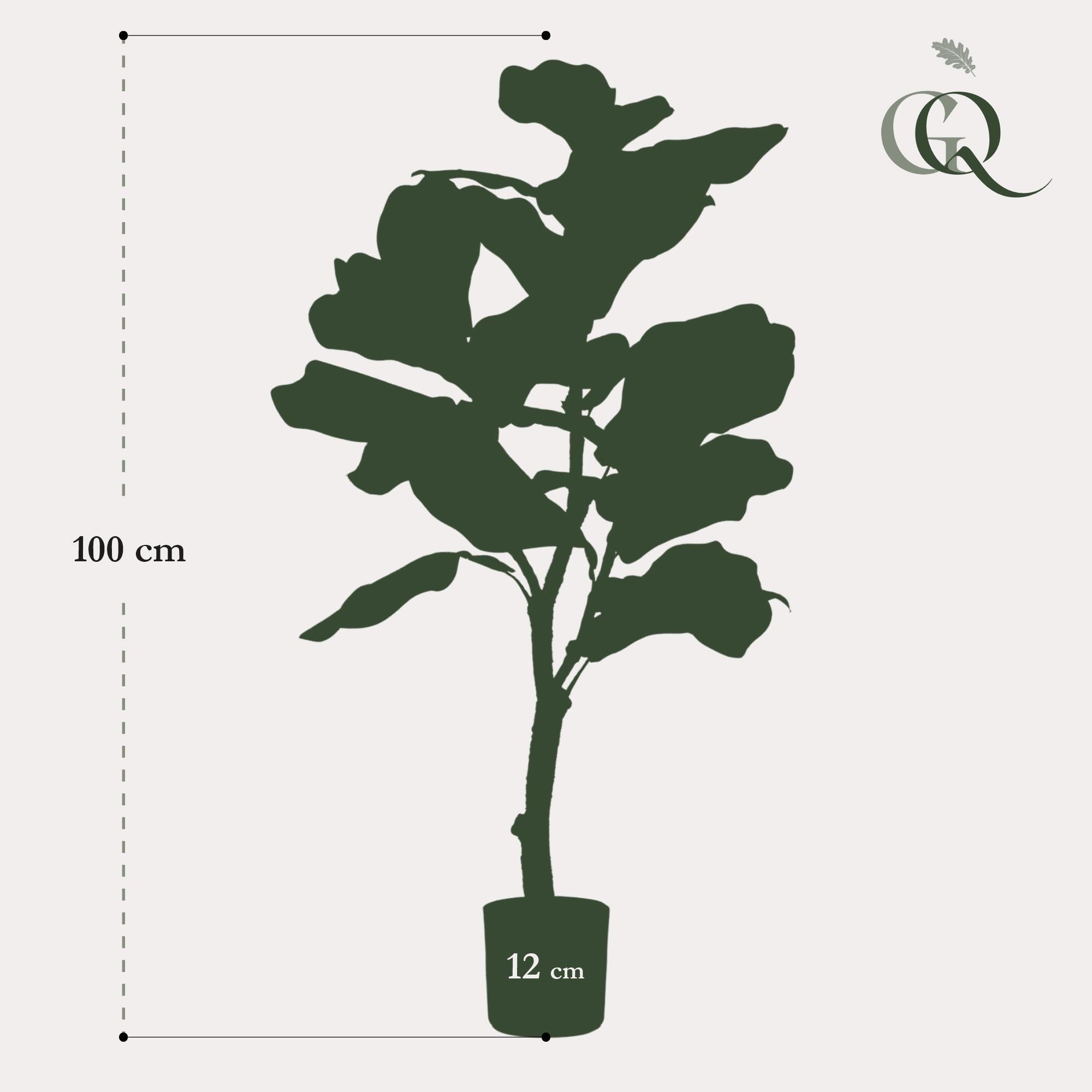 Kunstpflanze - Ficus Lyrata - Tabakspflanze - 100 cm