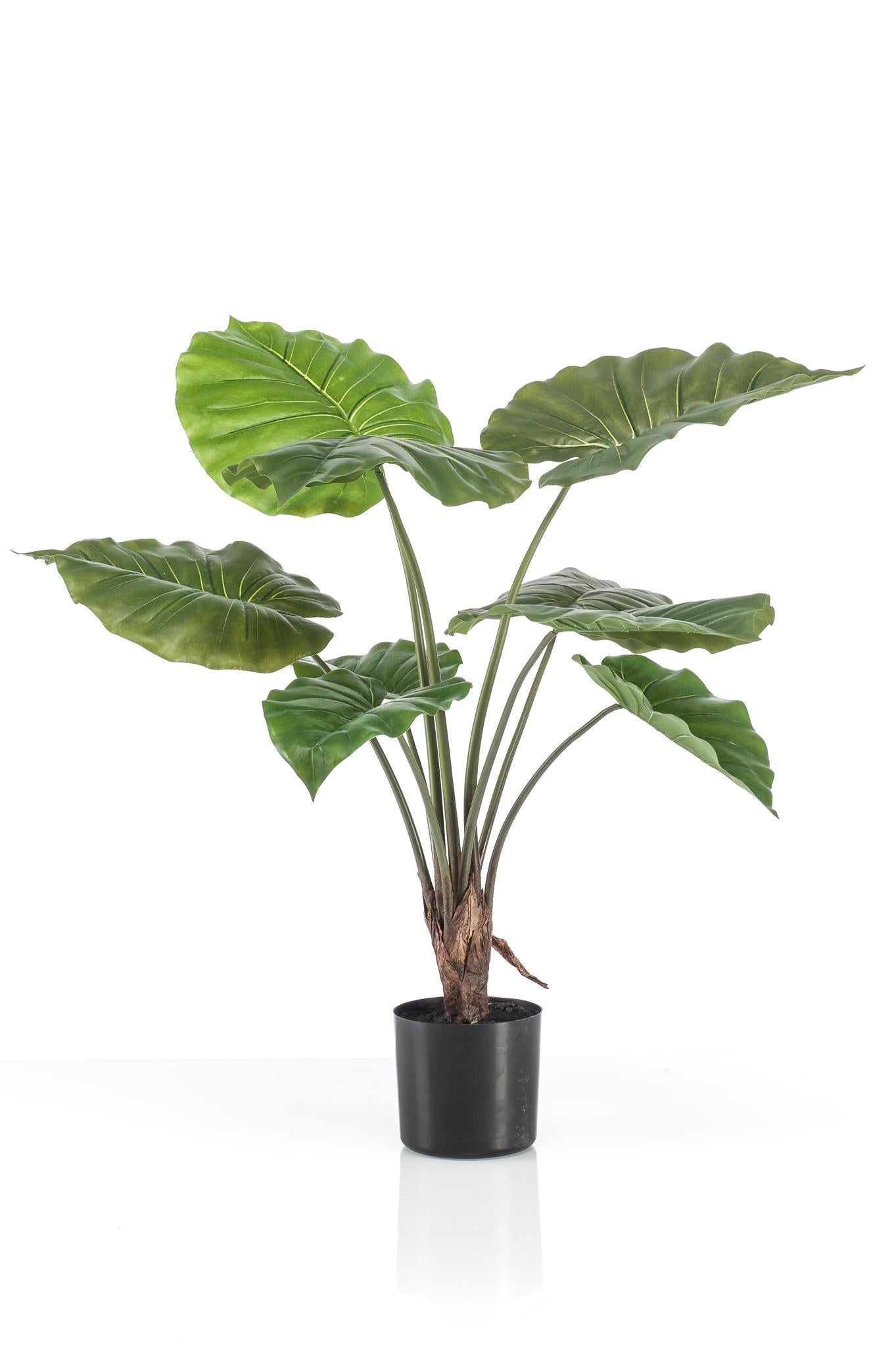 Kunstpflanze - Alocasia - 70 cm