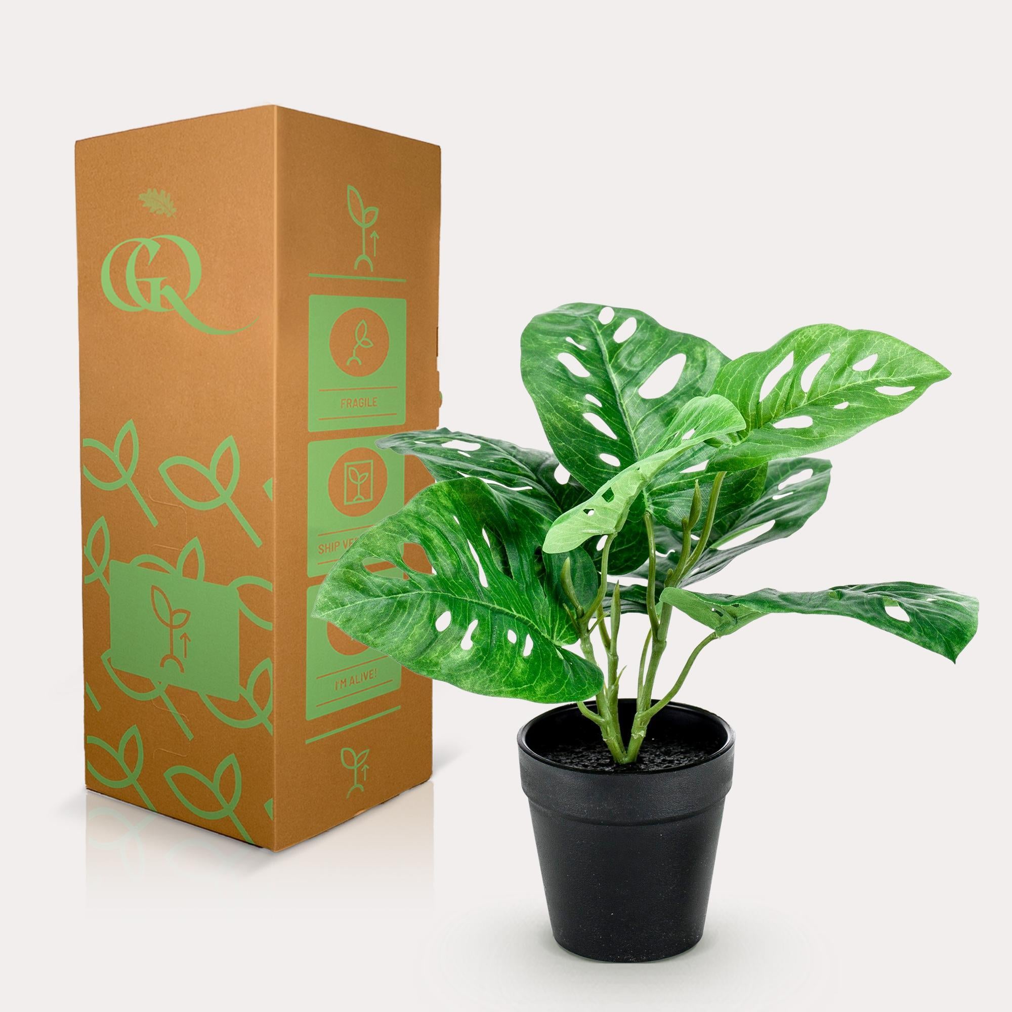 Kunstpflanze - Monstera Monkey -  29 cm