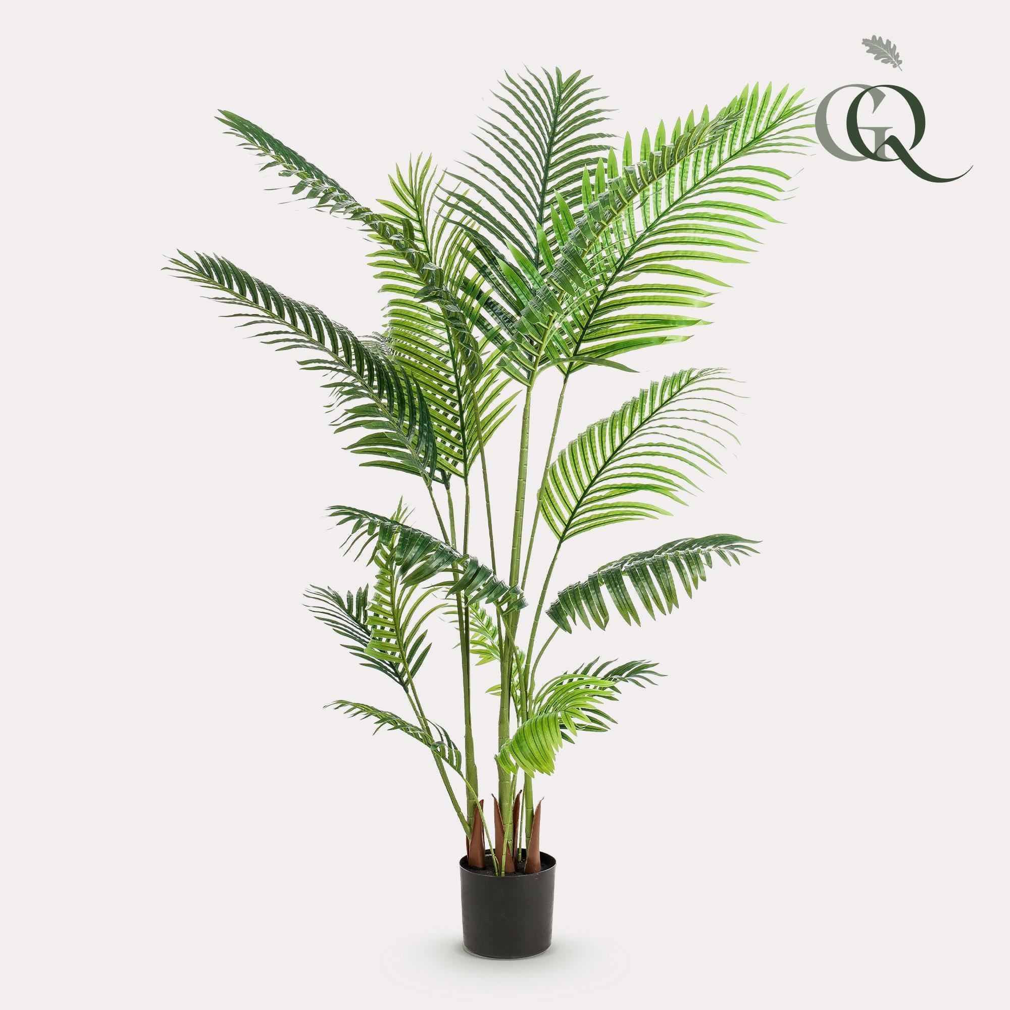 Kunstpflanze - Howea Forsteriana  - 160 cm